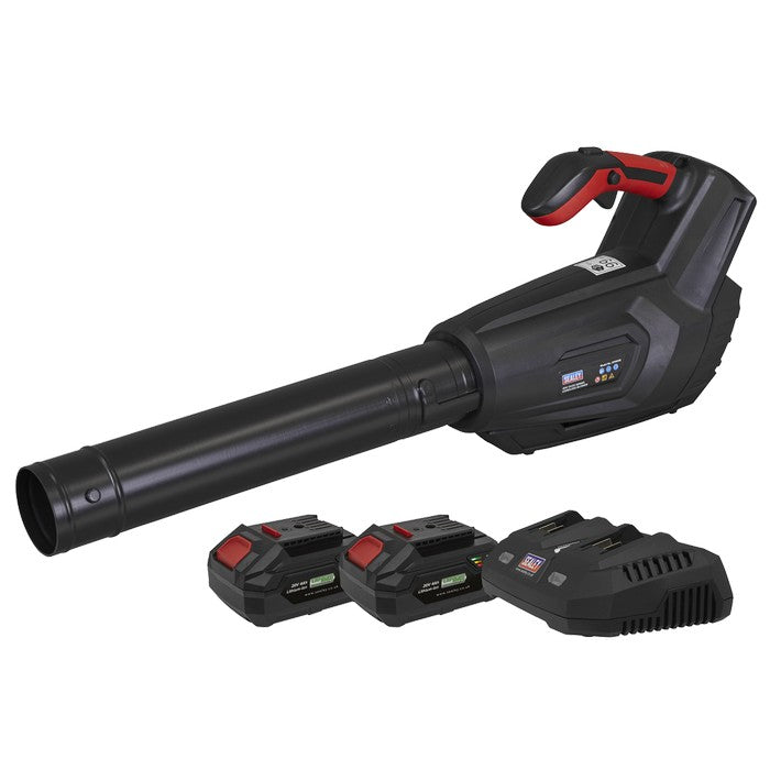 Cordless Blower Kit 40V 4Ah SV20 Series