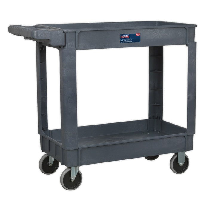 Composite Heavy-Duty Trolley 2-Level