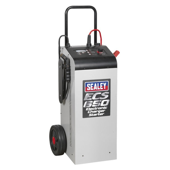 12/24V Electronic Charger Maintainer/Starter 100/650A