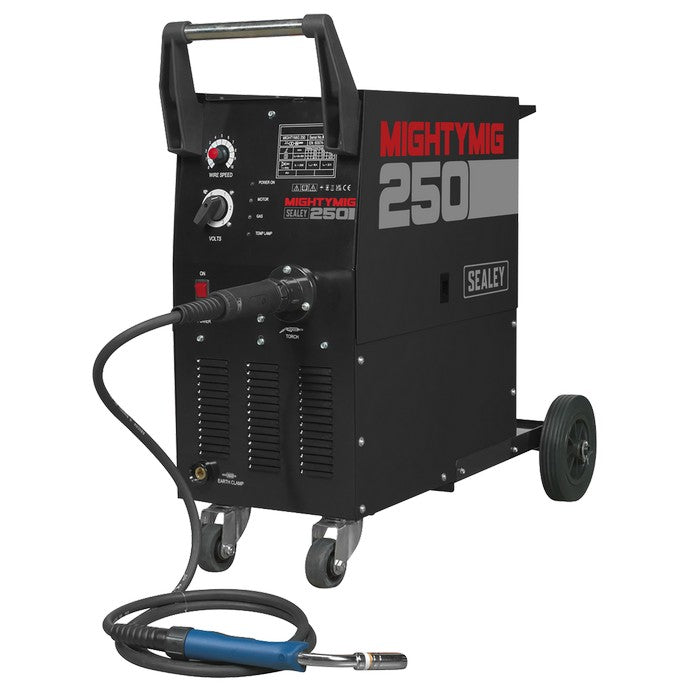 Professional Gas/Gasless MIG Welder 250A with Euro Torch