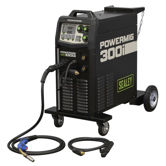 300A Professional Gas/Gasless MIG/MMA/TIG Inverter Welder