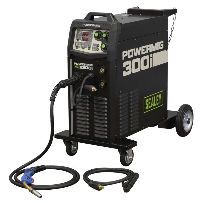 300A Professional Gas/Gasless MIG/MMA/TIG Inverter Welder