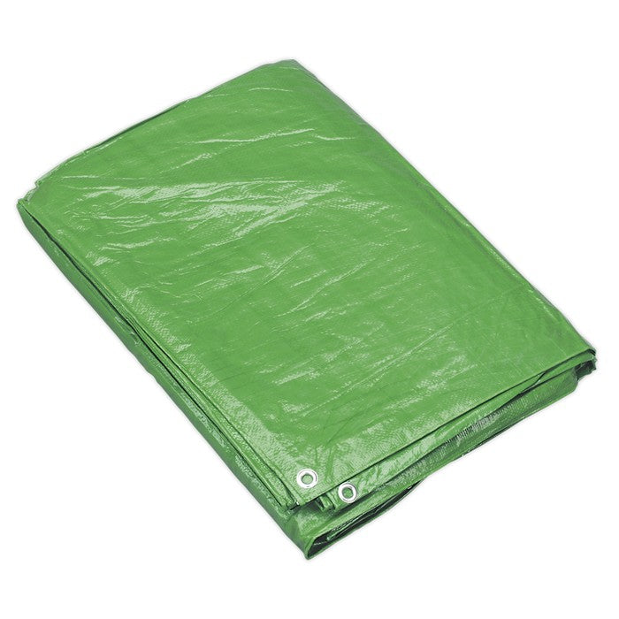 Tarpaulin 4.88 x 6.10m - Green