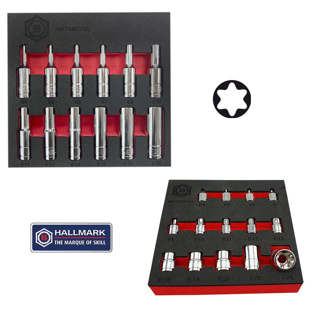 12pc 3/8" Deep & Standard Depth E-Torx / Star Socket Sets E4-E24 Britool Hallmark