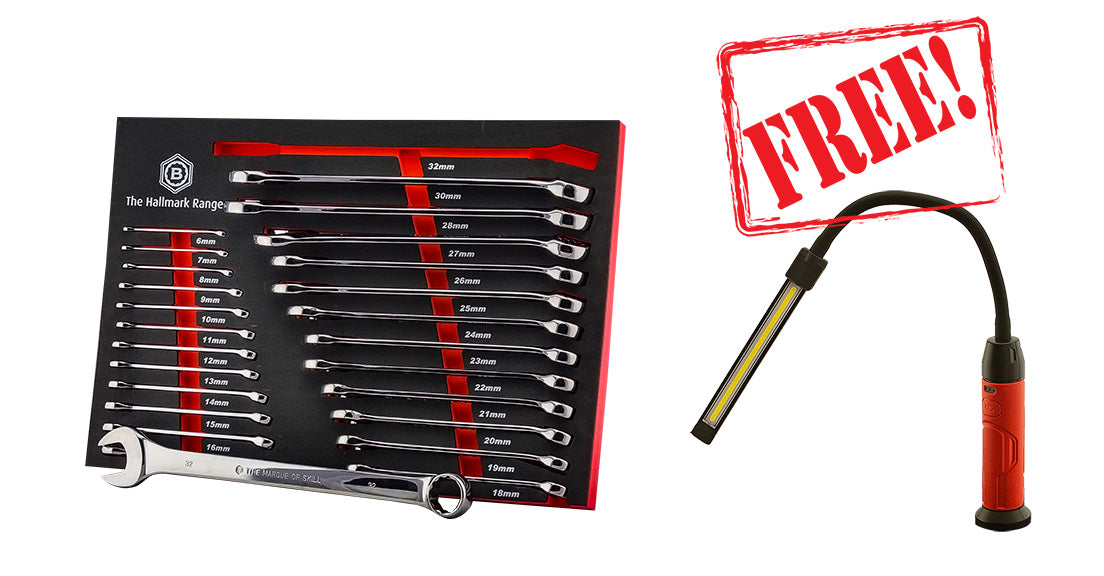 Britool 25 Piece Spanner Set In Foam Tray 6-32mm + Free Flexi Wotk Light