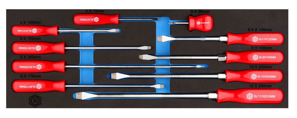 10 piece Britool Hallmark slotted and flared screwdriver set in tool control storage module.  