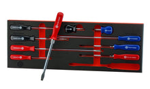 Britool Hallmark 10 piece combination screwdriver set in tool control foam.  Contains Slotted, Phillips and Pozi Driv heads.