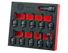 Britool Hallmark 1/2" drive impact Ribe profile bit driver set from M4 to M18, supplied in size marked EVA storage foam tray.