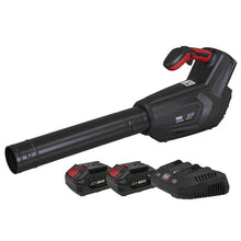 Cordless Blower Kit 40V 4Ah SV20 Series