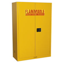 Flammables Storage Cabinet 1095 x 460 x 1655mm