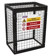 Safety Cage - 2 x 19kg Gas Cylinders