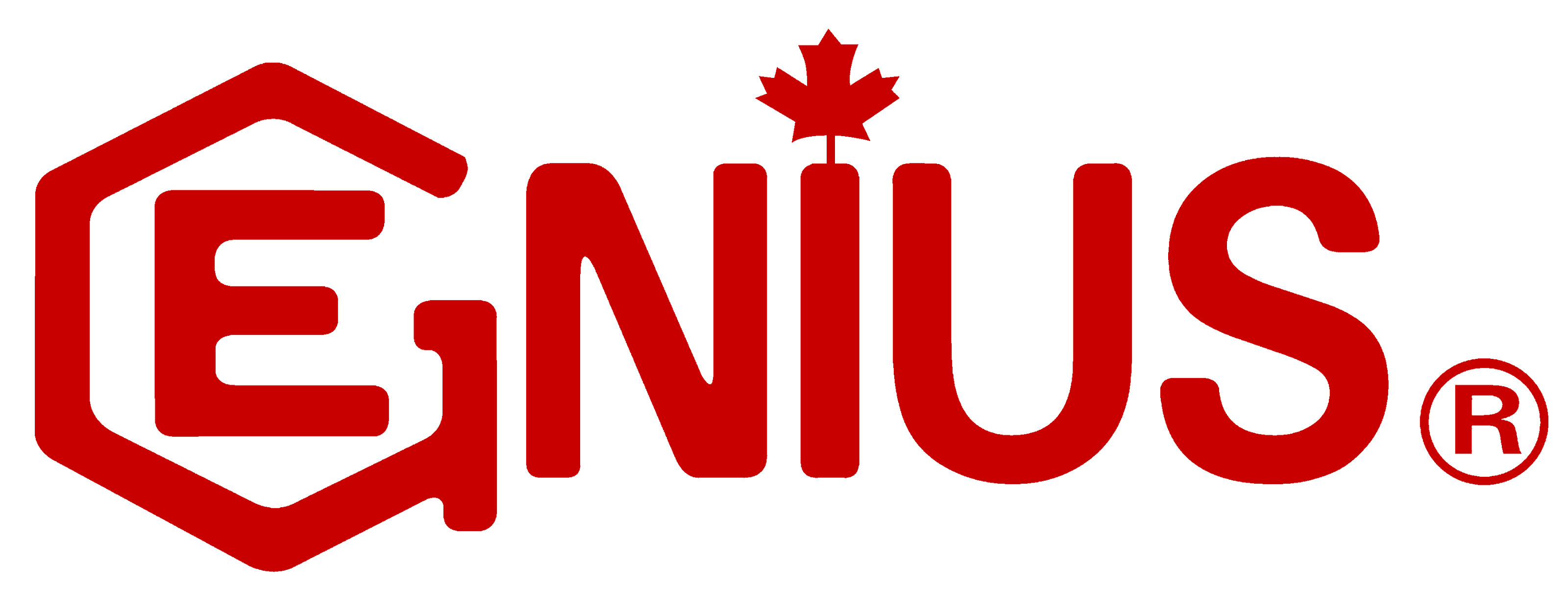 Genius Tools official logo