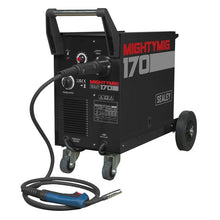 Professional Gas/Gasless MIG Welder 170A with Euro Torch