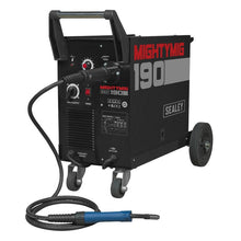 Professional Gas/Gasless MIG Welder 190A with Euro Torch