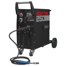 Professional Gas/Gasless MIG Welder 250A with Euro Torch