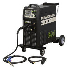 300A Professional Gas/Gasless MIG/MMA/TIG Inverter Welder