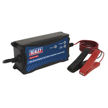 12V Fully Automatic Battery Maintainer/Charger 4A