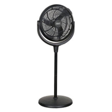 Desk & Pedestal Fan 16" 230V