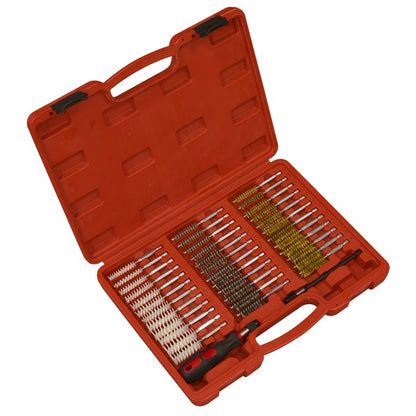 Sealey 38 pc cleaning brush set for injector bores.
