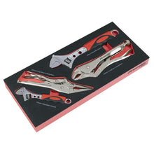 Locking Pliers & Adjustable Wrench Set with Tool Tray 4pc