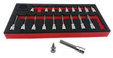 Britool Hallmark 20 piece long and short hexagon bit sockets in a tool control foam, designed for hand use only and chrome finish.