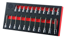 Set of Torx bit sockets in a black and red foam tray organizer with a brand logo.
