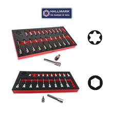 3/8" Hex / Allen Key &  Torx Star Bit Socket Set Standard & Long Britool Hallmark